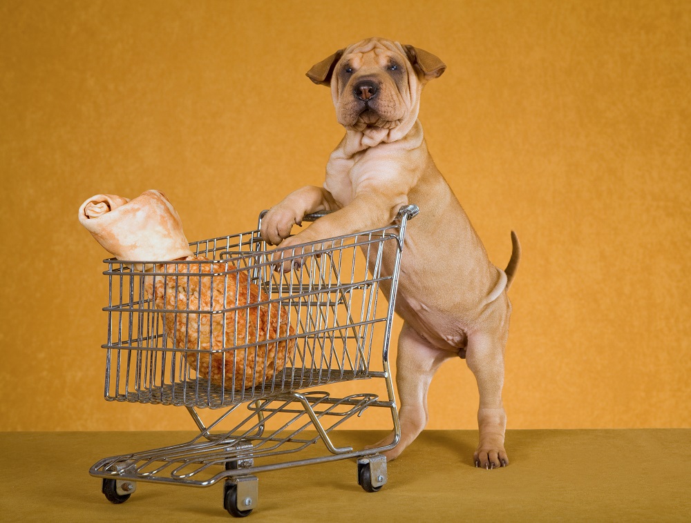 is selling dogs a good business,dog accessories,Are pet accessories profitable,Is Selling Dog Accessories Profitable