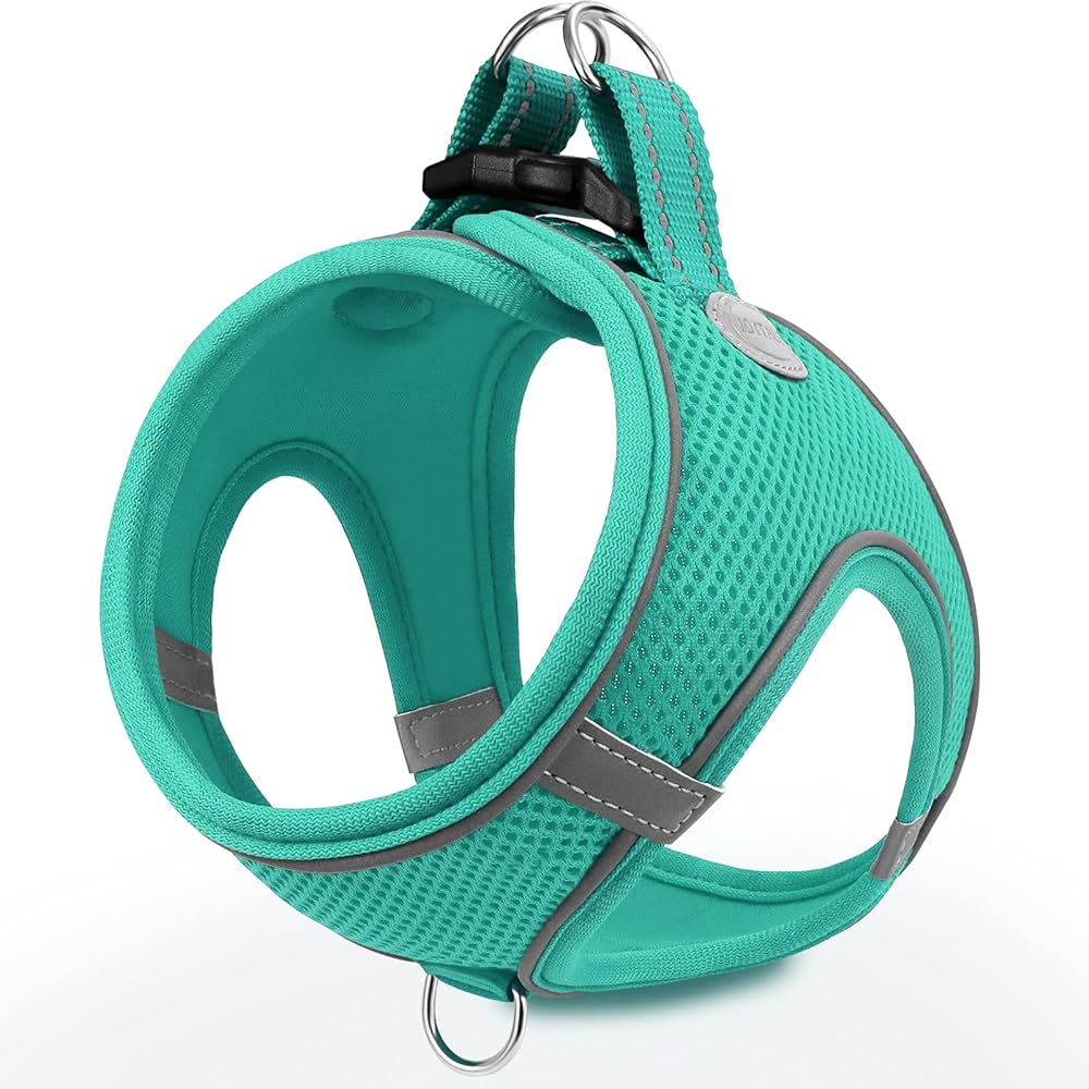 different type of dog harnesses,different kinds of dog harnesses,different types of harnesses for dogs,types of harnesses,types of dog harnesses,Dog harness types,Best dog harness,No-pull dog harness,Reflective dog harness,Padded dog harness,Front-clip harness,Dual-clip harness,Step-in dog harness,Tactical dog harness,Dog harness for small breeds