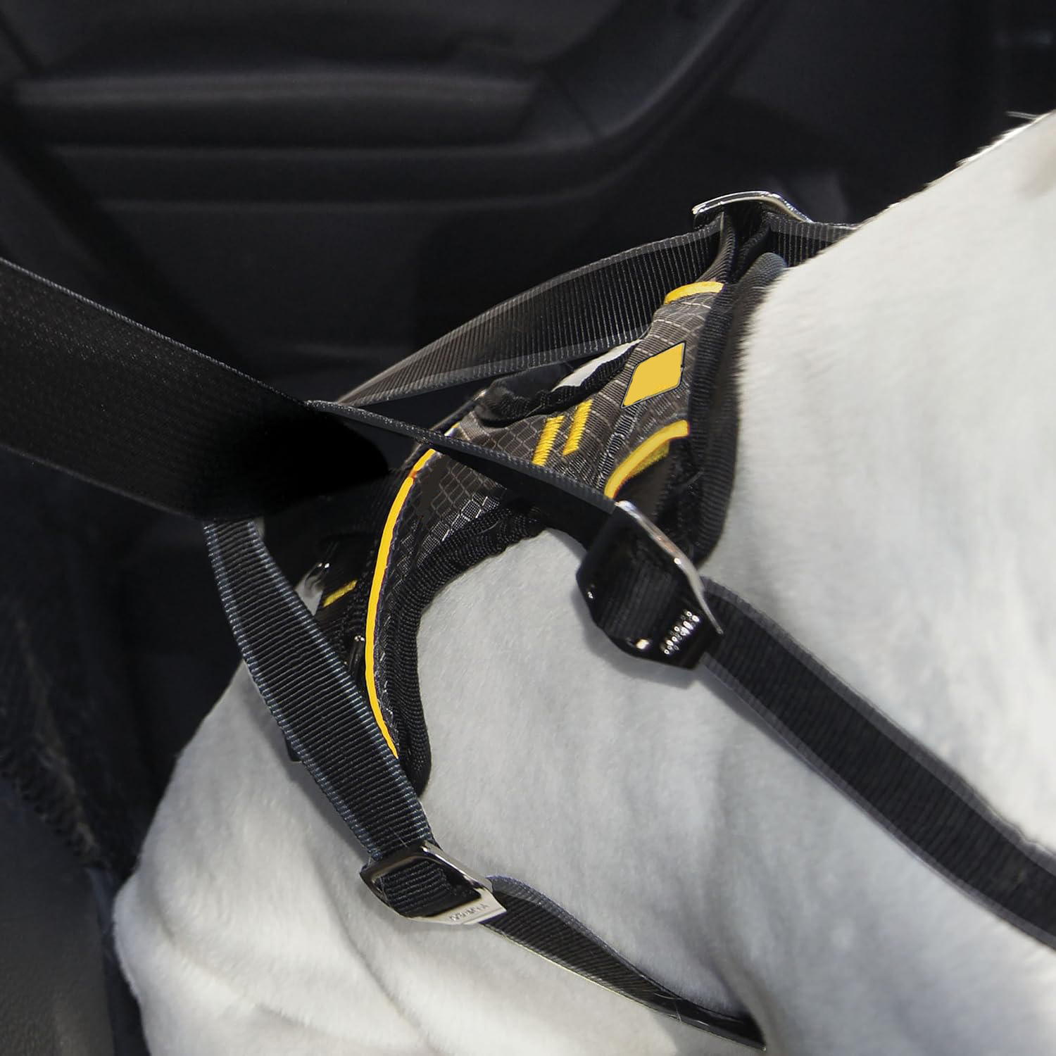 dog car harness,car harness for dogs,What Type Of Harness Is Best For A Dog For In The Car,Crash-Tested Dog Harness,Full-Body Dog Harness,Seatbelt Dog Harness,Two-Point Dog Harness,Multifunctional Dog Harness,Pet Safety in Cars