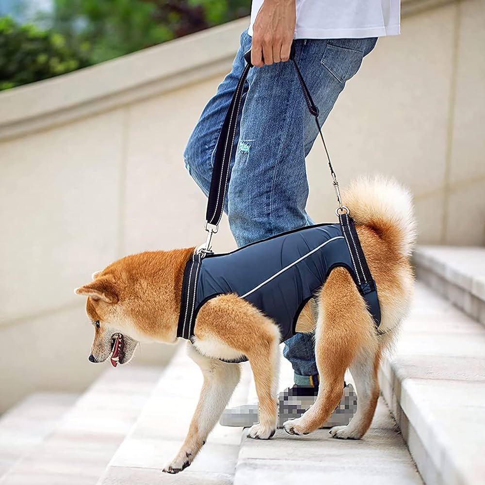Dog Lift Harness,Mobility Aid for Dogs,Arthritis Support for Dogs,Hip Dysplasia Harness for Dogs,Post-Surgery Dog Harness,Total Body Dog Harness,Front Lift Harness for Dogs,Rear Lift Dog Harness,Canine Rehabilitation Harness