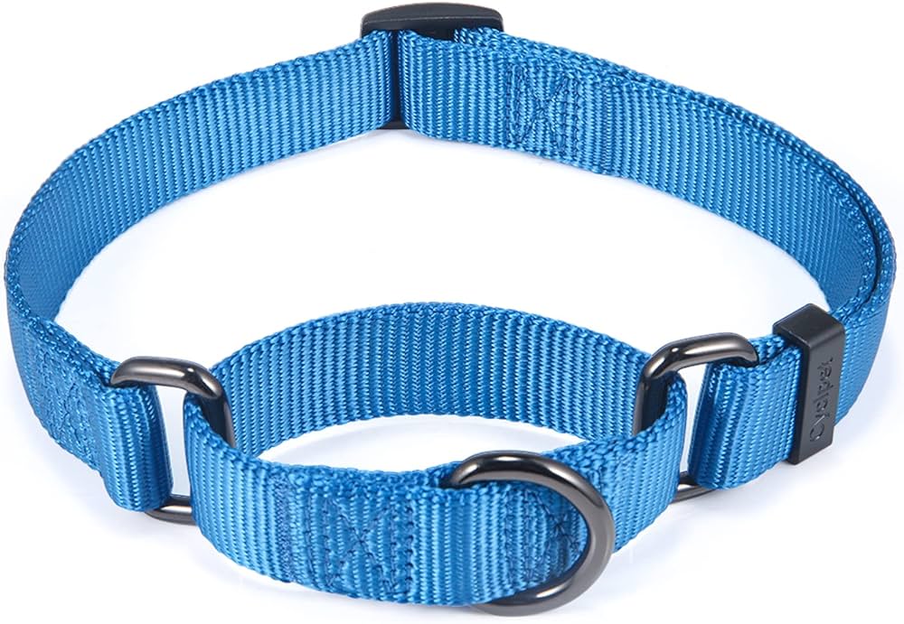 Dog Collar Types,Dog Collar Comfort,Choosing Dog Collars,Dog Collar Guide,Customizable Dog Collars,Choosing a Dog Collar,Dog Collar Materials,Dog Collar Training,Dog Collar Personalization