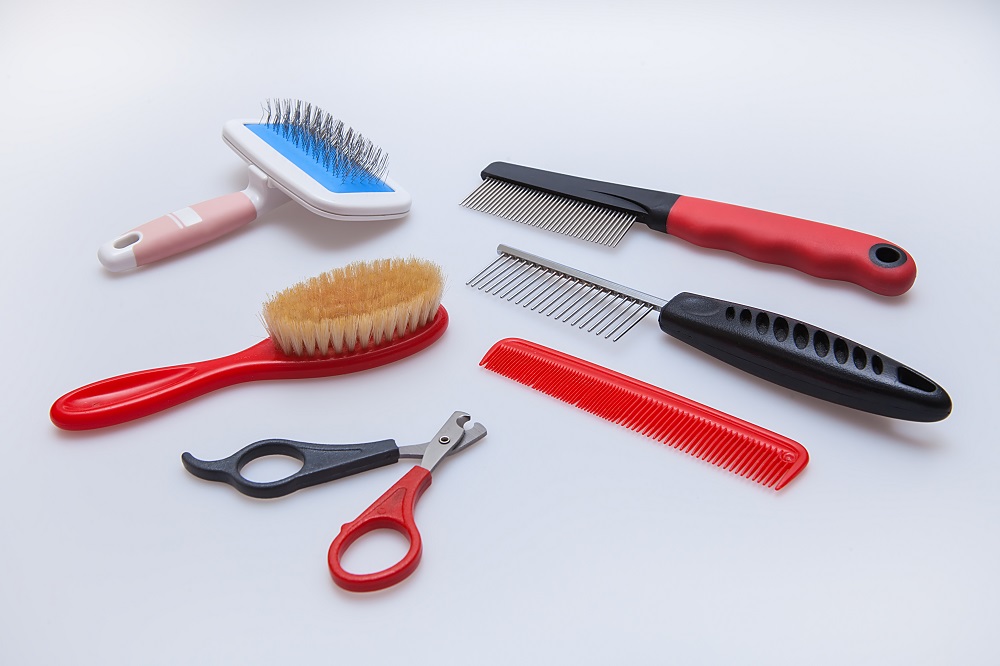 Dog Grooming Business,Dog Grooming Business Start-Up,Professional Dog Grooming Equipment,Dog Grooming Tables,Dog Clippers and Scissors,Dog Bathing Stations,Dog Grooming Shampoo,Nail Care for Dogs,Dog Grooming Tools,Starting a Pet Grooming Business,Pet Grooming Business Essentials
