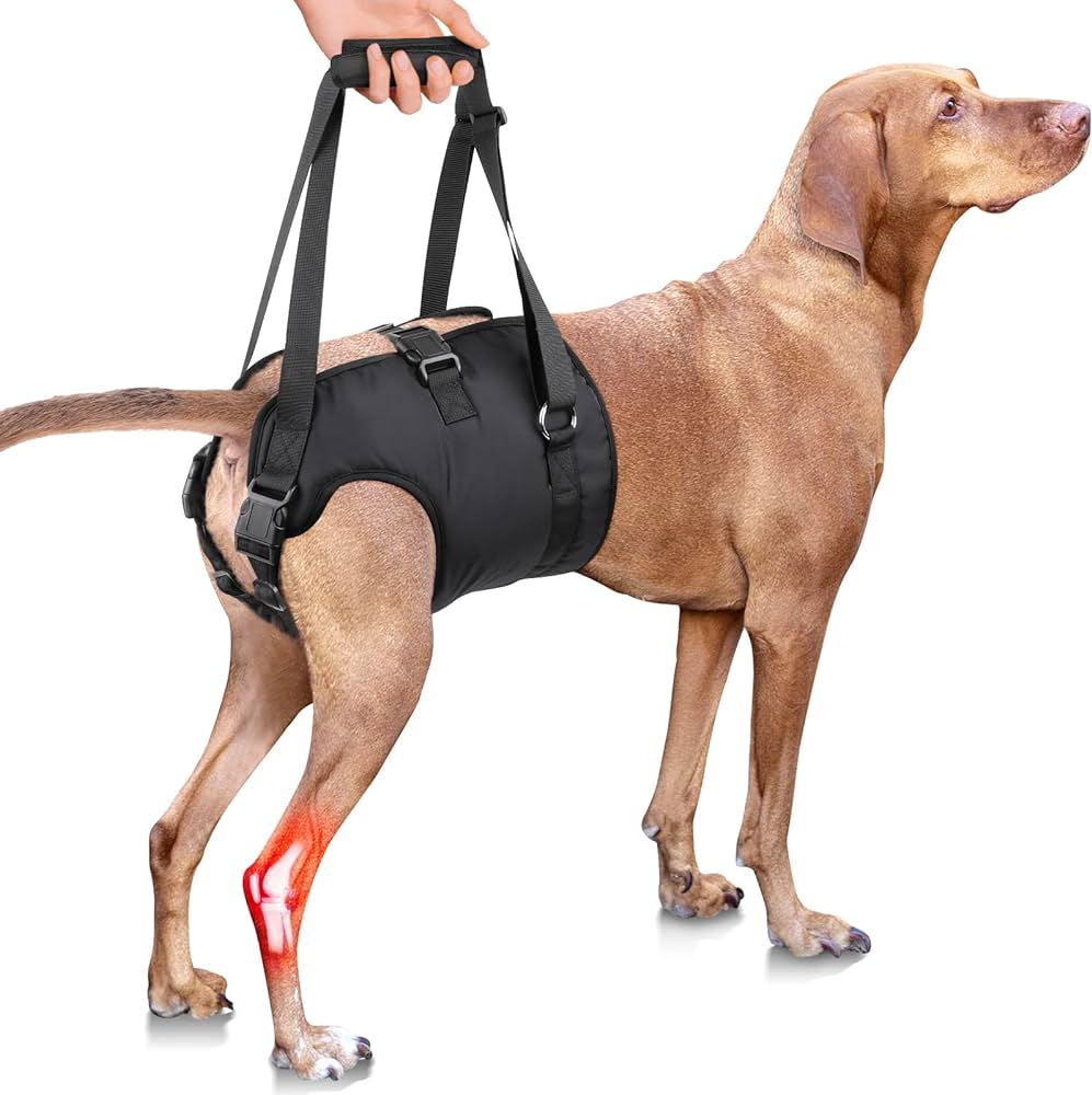 Dog Lift Harness,Mobility Aid for Dogs,Arthritis Support for Dogs,Hip Dysplasia Harness for Dogs,Post-Surgery Dog Harness,Total Body Dog Harness,Front Lift Harness for Dogs,Rear Lift Dog Harness,Canine Rehabilitation Harness