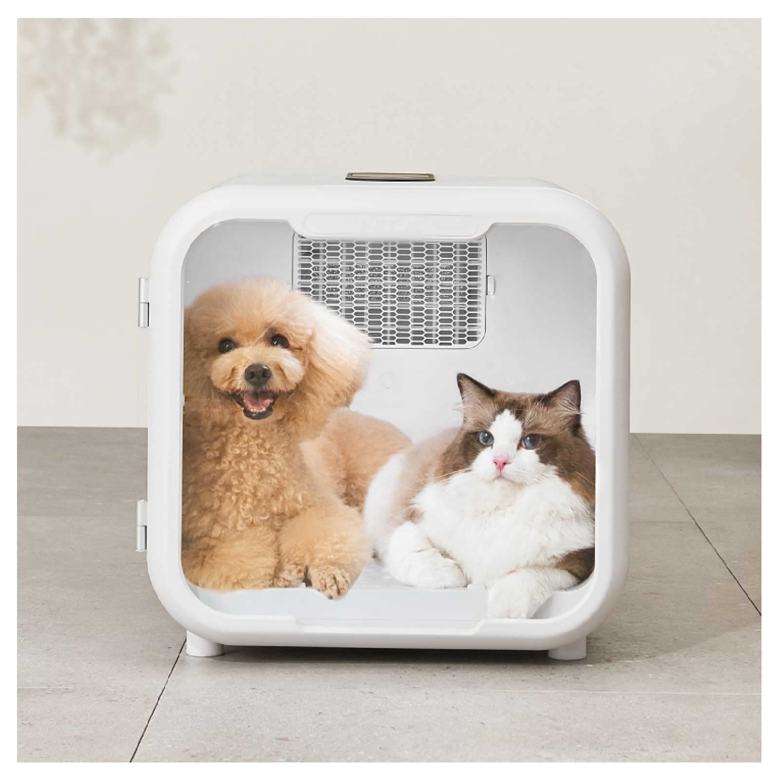 Dog Grooming Business,Dog Grooming Business Start-Up,Professional Dog Grooming Equipment,Dog Grooming Tables,Dog Clippers and Scissors,Dog Bathing Stations,Dog Grooming Shampoo,Nail Care for Dogs,Dog Grooming Tools,Starting a Pet Grooming Business,Pet Grooming Business Essentials