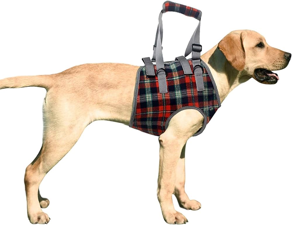 Dog Lift Harness,Mobility Aid for Dogs,Arthritis Support for Dogs,Hip Dysplasia Harness for Dogs,Post-Surgery Dog Harness,Total Body Dog Harness,Front Lift Harness for Dogs,Rear Lift Dog Harness,Canine Rehabilitation Harness