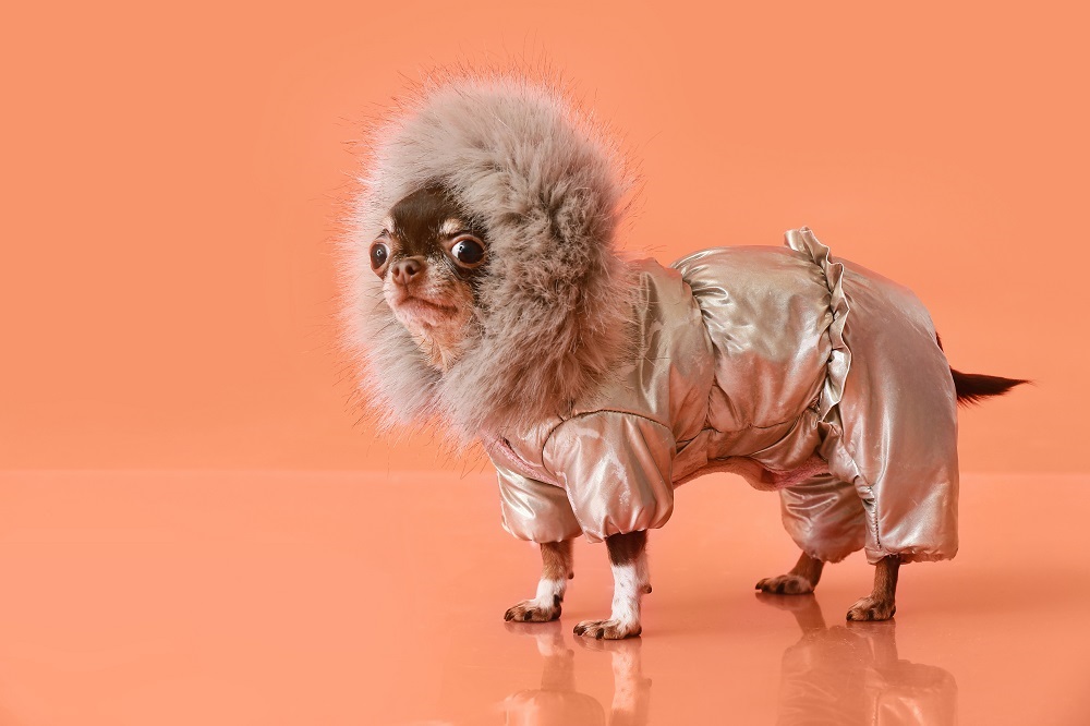 dog coats,dog coats with harness,dog coats and sweaters,dog coats manufacture,dog clothes manufacturers,dog coat