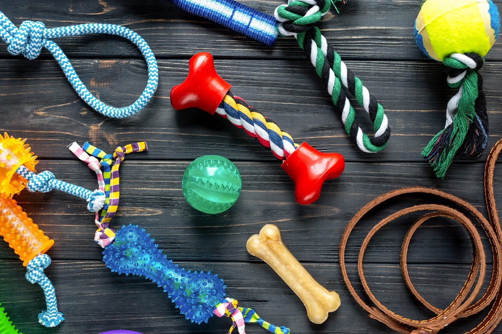 is selling dogs a good business,dog accessories,Are pet accessories profitable,Is Selling Dog Accessories Profitable