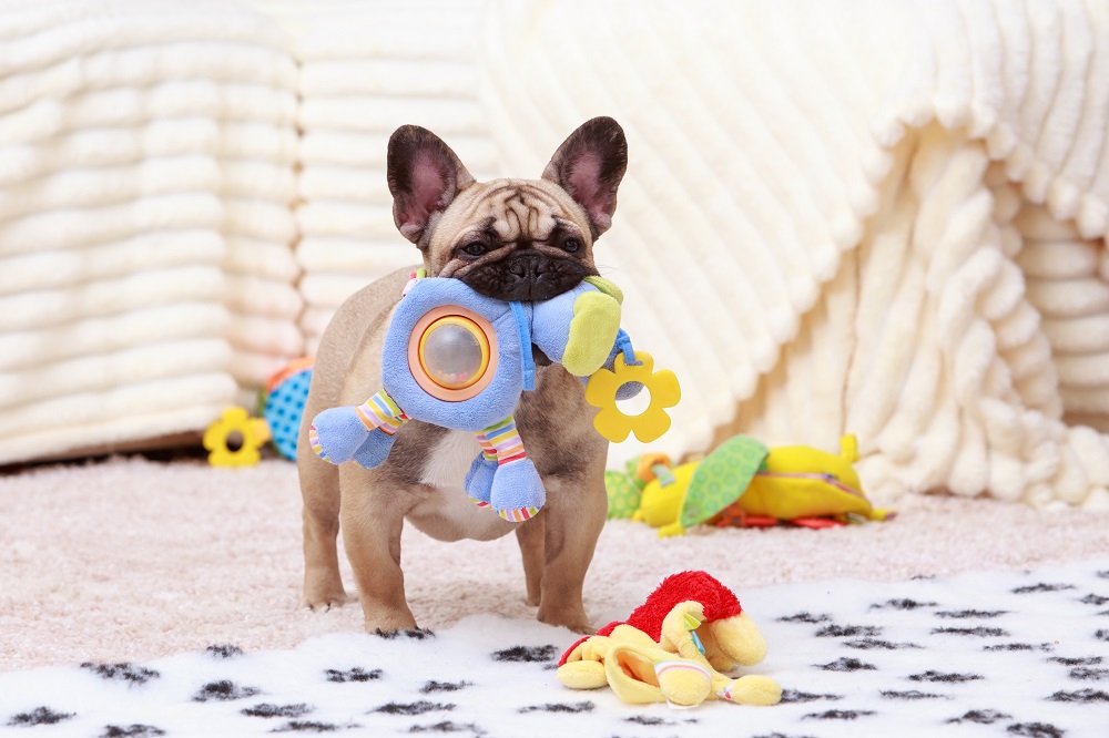dog toy,dog toys,durable dog toy,durable dog toys for heavy chewers,durable dog toys for chewers,dog toy supply,dog toy factory,dog toy manufacture,dog toy manufacturers,dog toy manufacturers china,durable dog toys,dog toy safety,interactive dog toys,best dog toys for chewers,eco-friendly dog toys,long-lasting dog toys,non-toxic dog toys,dog puzzle toys,chew toys for dogs,dog mental stimulation toys,top dog toys for aggressive chewers,safe dog toys for puppies,durable rubber dog toys,tech-savvy dog toys,multi-functional dog toys,clean dog toys,dog toy materials,pet toy trends,choosing dog toys,high-quality dog toys