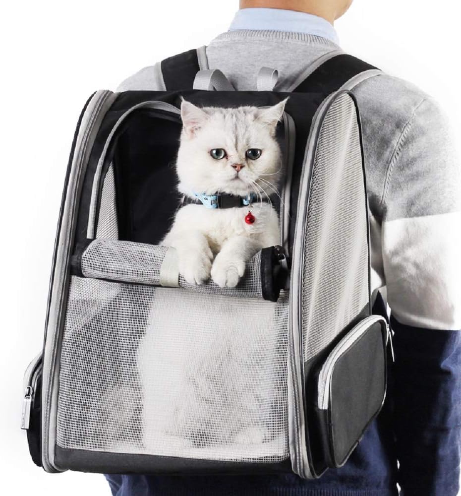 pet carriers,pet carriers business,dog carriers business,Airline Approved Pet Carriers,Hard-Sided Pet Carriers,Soft-Sided Pet Carriers,Pet Carrier Backpacks,Pet Carrier Purses,Car Seat Pet Carriers,Pet Travel Safety,Choosing a Pet Carrier,Pet Carrier Sizes and Materials