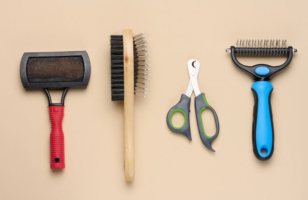 Dog Grooming Business,Dog Grooming Business Start-Up,Professional Dog Grooming Equipment,Dog Grooming Tables,Dog Clippers and Scissors,Dog Bathing Stations,Dog Grooming Shampoo,Nail Care for Dogs,Dog Grooming Tools,Starting a Pet Grooming Business,Pet Grooming Business Essentials