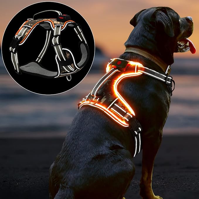 led dog collar,led dog harness,led dog leash,led dog collar manufacturer,led dog harness manufacturer,led dog leash manufacturer