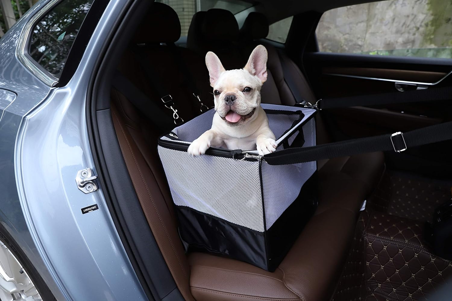 pet carriers,pet carriers business,dog carriers business,Airline Approved Pet Carriers,Hard-Sided Pet Carriers,Soft-Sided Pet Carriers,Pet Carrier Backpacks,Pet Carrier Purses,Car Seat Pet Carriers,Pet Travel Safety,Choosing a Pet Carrier,Pet Carrier Sizes and Materials