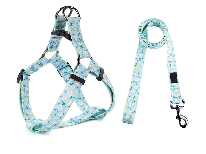 different type of dog harnesses,different kinds of dog harnesses,different types of harnesses for dogs,types of harnesses,types of dog harnesses,Dog harness types,Best dog harness,No-pull dog harness,Reflective dog harness,Padded dog harness,Front-clip harness,Dual-clip harness,Step-in dog harness,Tactical dog harness,Dog harness for small breeds
