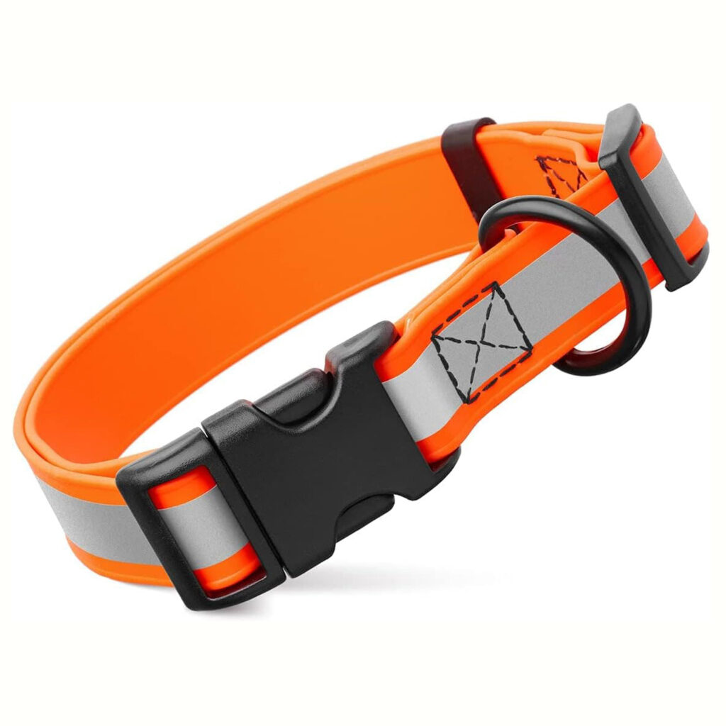 Discovering the Trendiest Dog Collar Styles Bestone