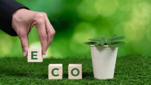 Eco-Friendly Products