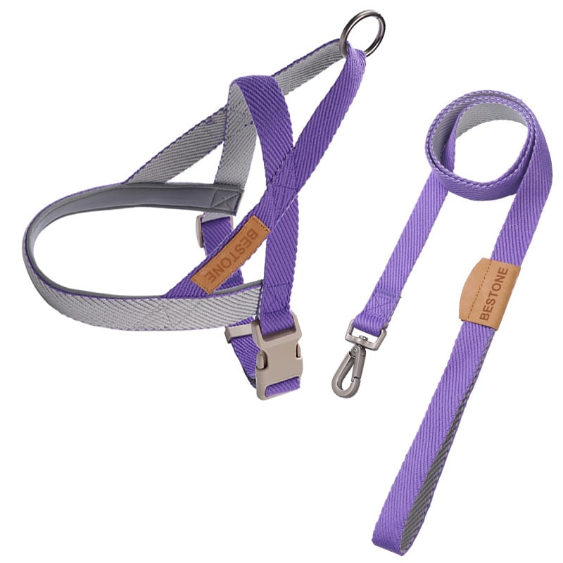 Webbing Dog Harness and Leash Sets