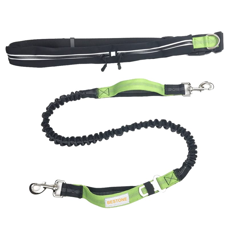 Walk Waist and Leash Sets