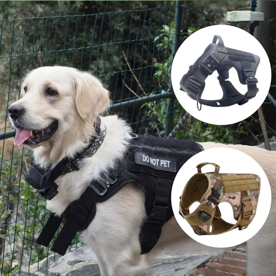 tactical dog harness