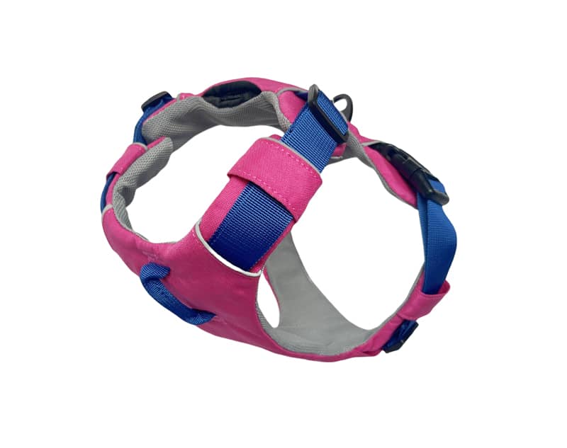 dog harness Manufacturer
