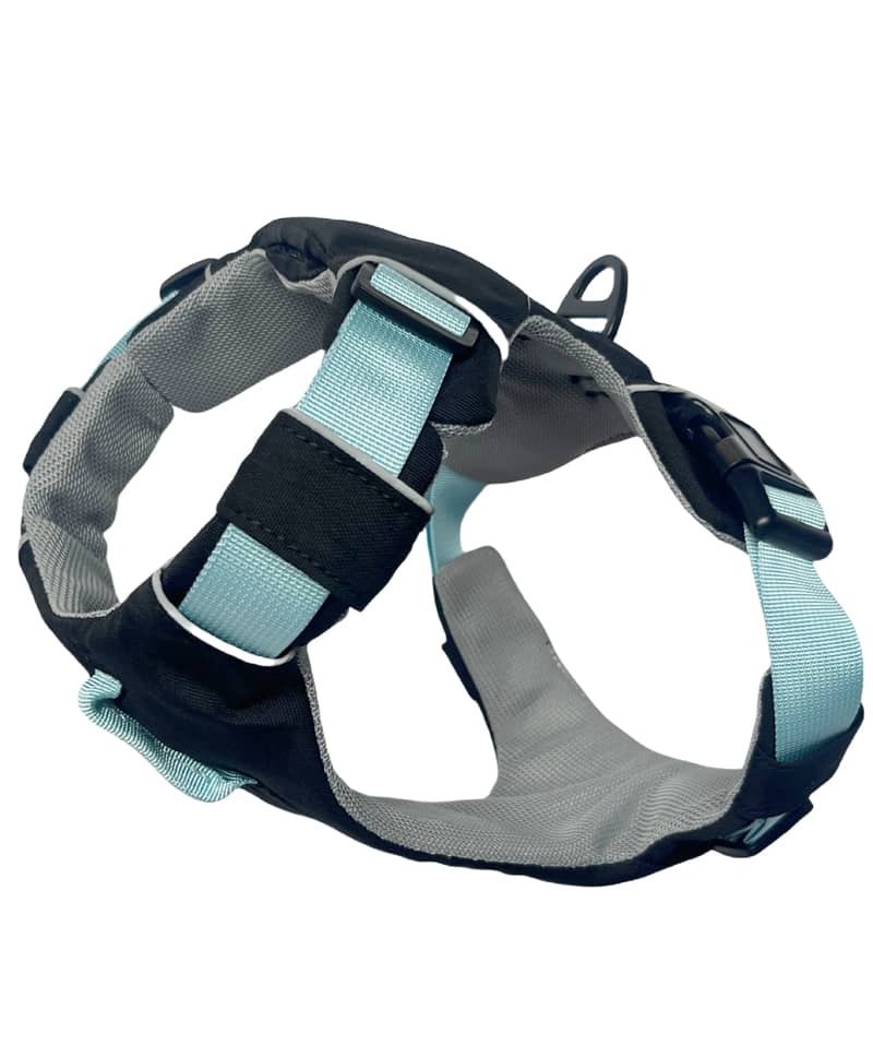 dog harness Manufacturer