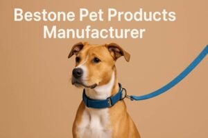 dog wearing a training collar and leash