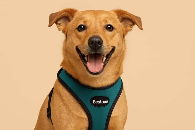 neoprene dog harnesses,dog harness benefits,pet accessories,durable dog gear