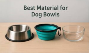best material for dog bowls