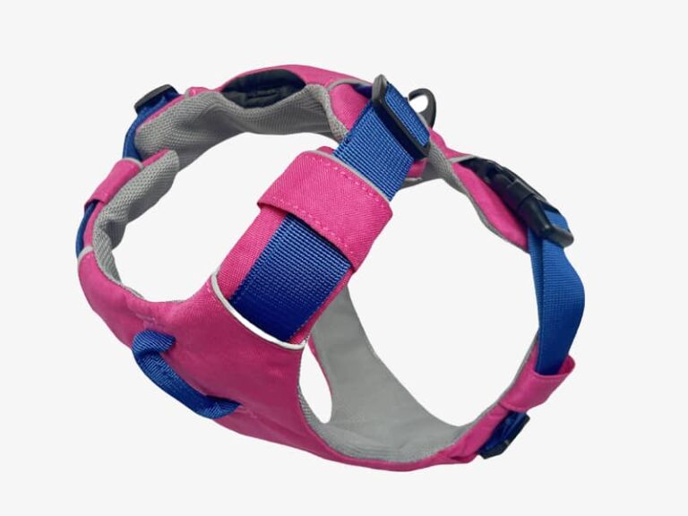 Dog harness