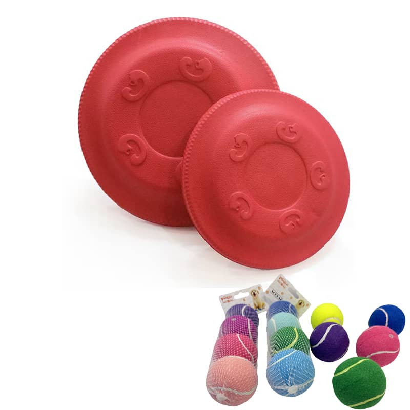 Fetch and outdoor toys for active play