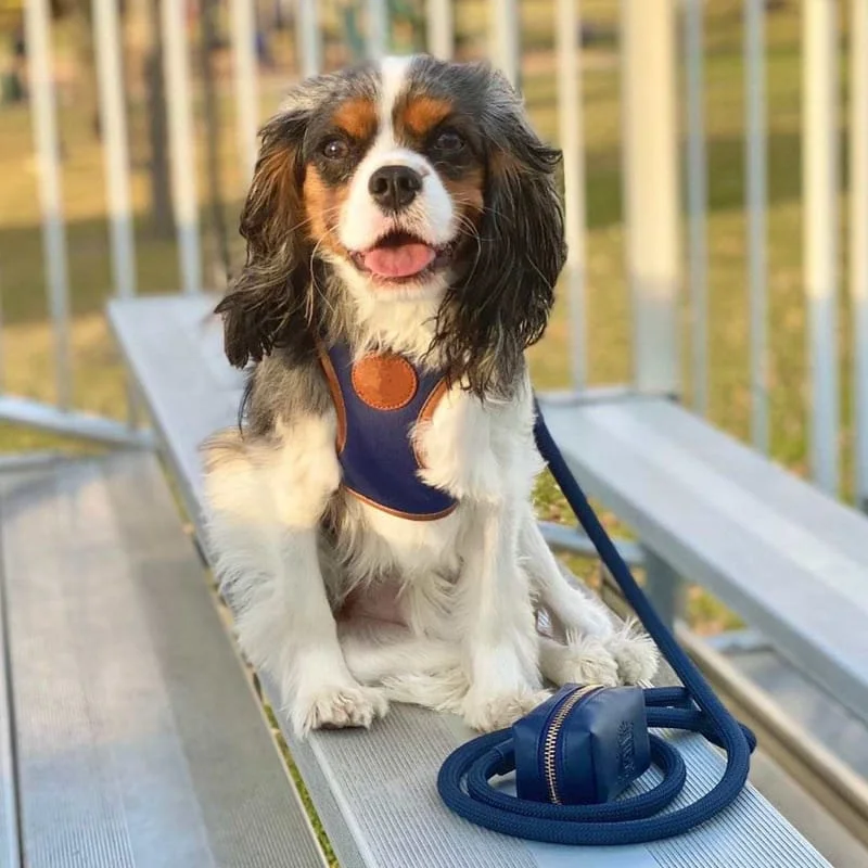 Classic Comfort Harness