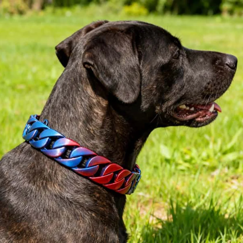 Cuban Chain Collar Series