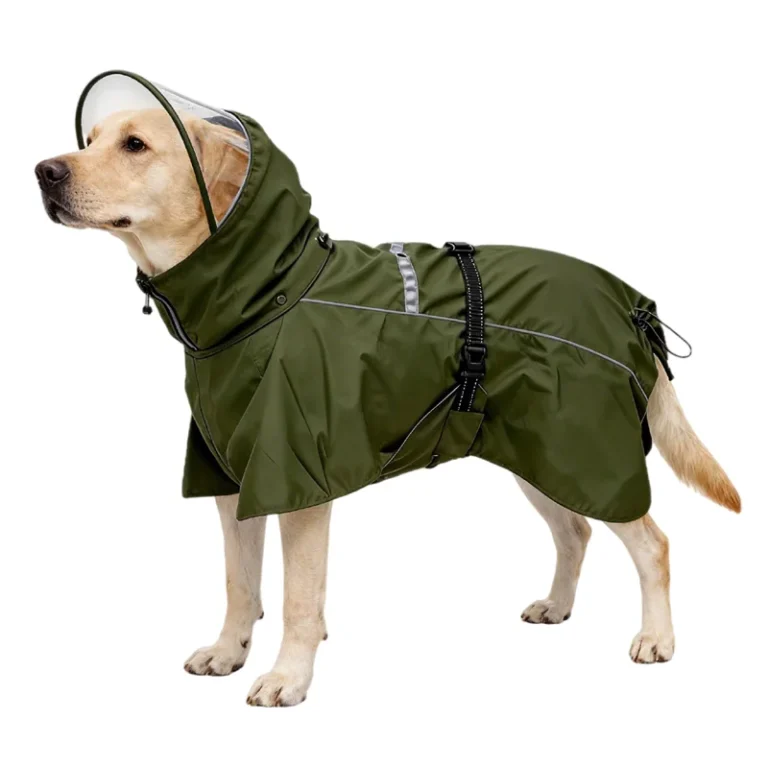 A light-colored dog wearing an olive green raincoat with a hood and reflective strips.