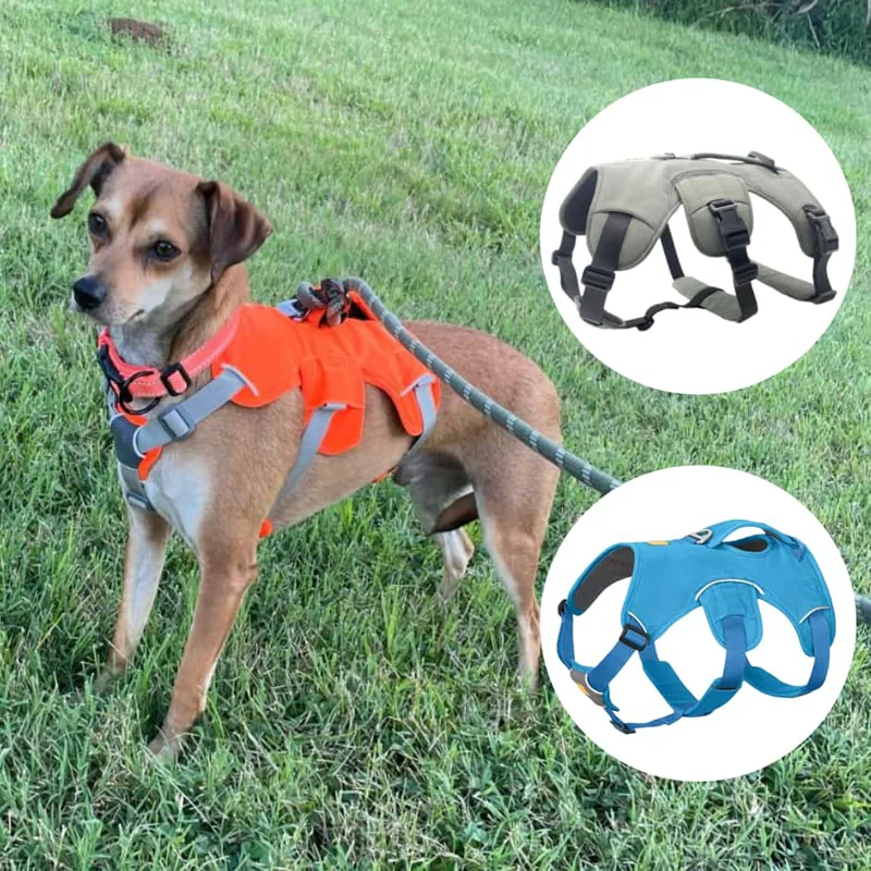 Dog on leash wearing bright orange harness in grassy field, with inset images showing grey and blue alternative harness options.