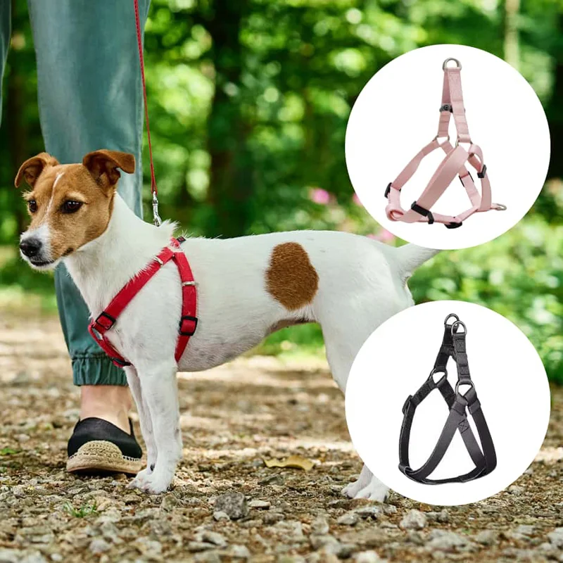 Small dog with a red harness stands outdoors, while two circular images show pink and black harness options next to it.