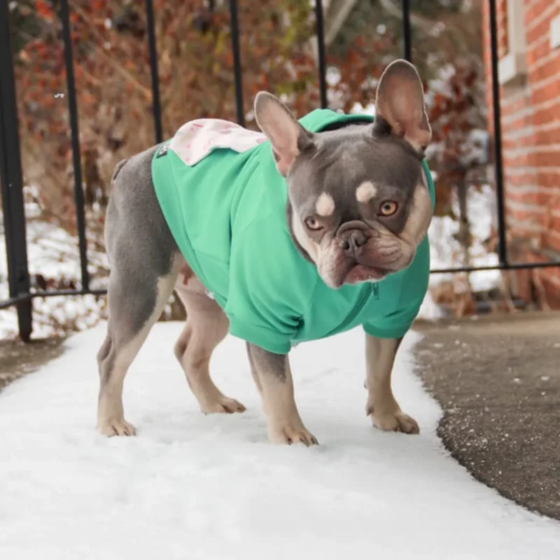 Cozy Hoodie Collection