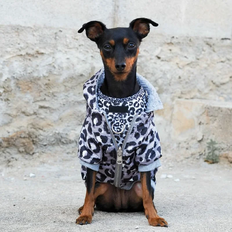 Leopard Fashion Jacket