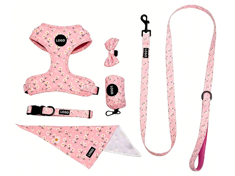 Ready-to-ship pet product stock collection