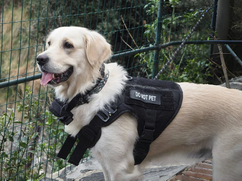 Customer case 2 - Tactical harness collection