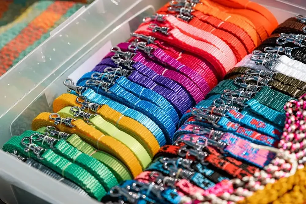 A collection of colorful dog collars with metal clasps neatly arranged in a container, showcasing various vibrant shades.