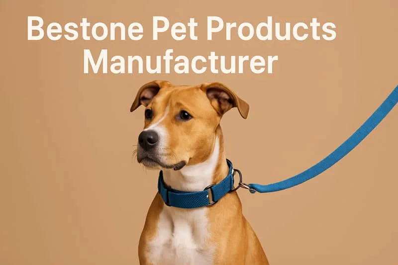 Cão castanho com coleira e trela azuis sobre fundo castanho com o texto 'Bestone Pet Products Manufacturer'.
