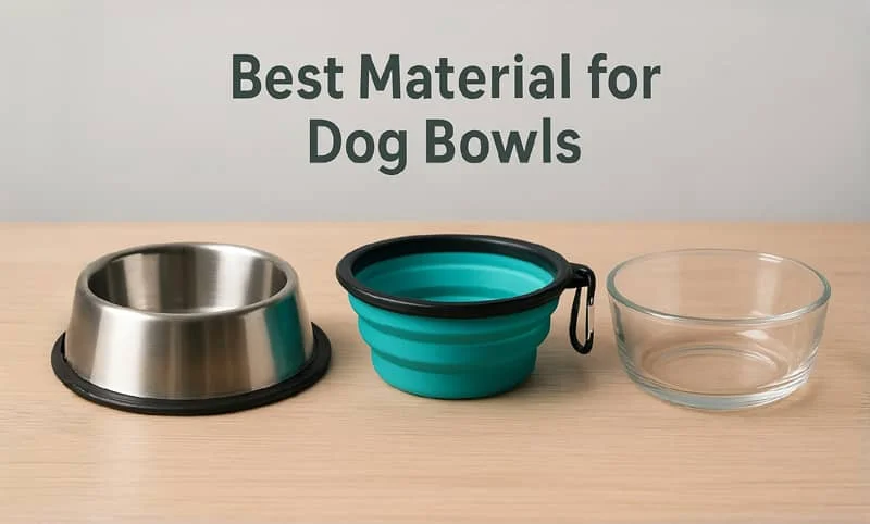 Three dog bowls made of stainless steel, collapsible silicone, and glass placed in a row on wooden surface.
