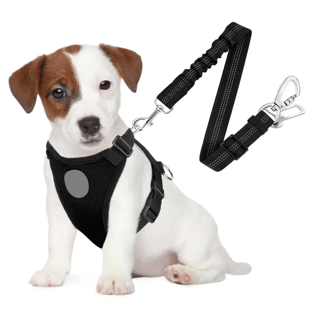 Puppy wearing a black harness connected to a matching leash. The set includes a sturdy leash with reflective stitching and durable hardware.