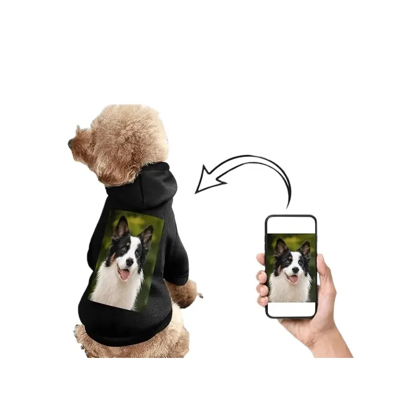 A small dog wearing a black hoodie printed with a dog photo, next to a hand holding a smartphone displaying the same photo.