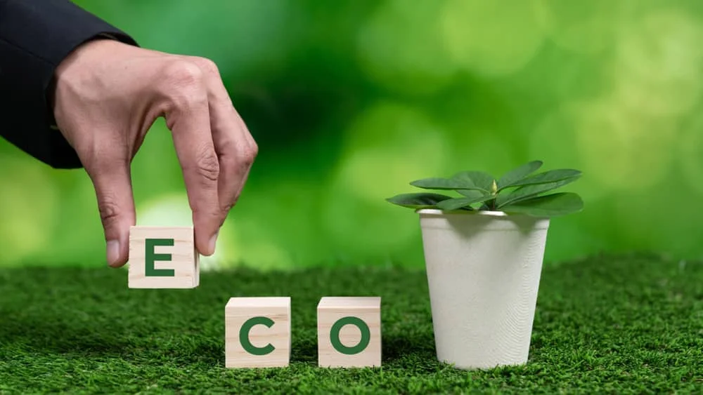 Hand placing wooden blocks spelling 'ECO' on grass next to a small plant in a cup, representing eco-friendly themes.