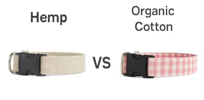 Comparison between a hemp dog collar and an organic cotton dog collar. The hemp collar is beige with a black buckle, while the organic cotton collar has a pink checkered pattern with a black buckle.