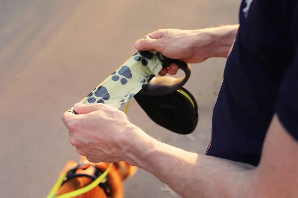 Man holding a dog poop bag with paw prints and a leash while standing on a street, preparing for a dog walk.