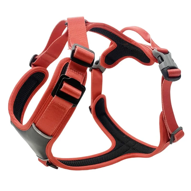 H-Style Harness