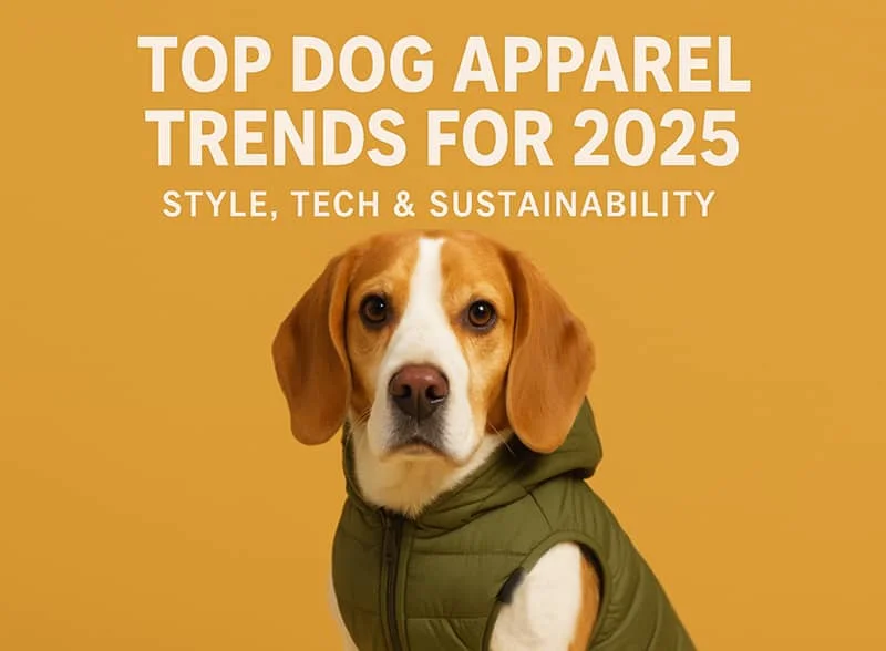 Dog in a green vest against orange background, showcasing top apparel trends for 2025 in style, tech, and sustainability.