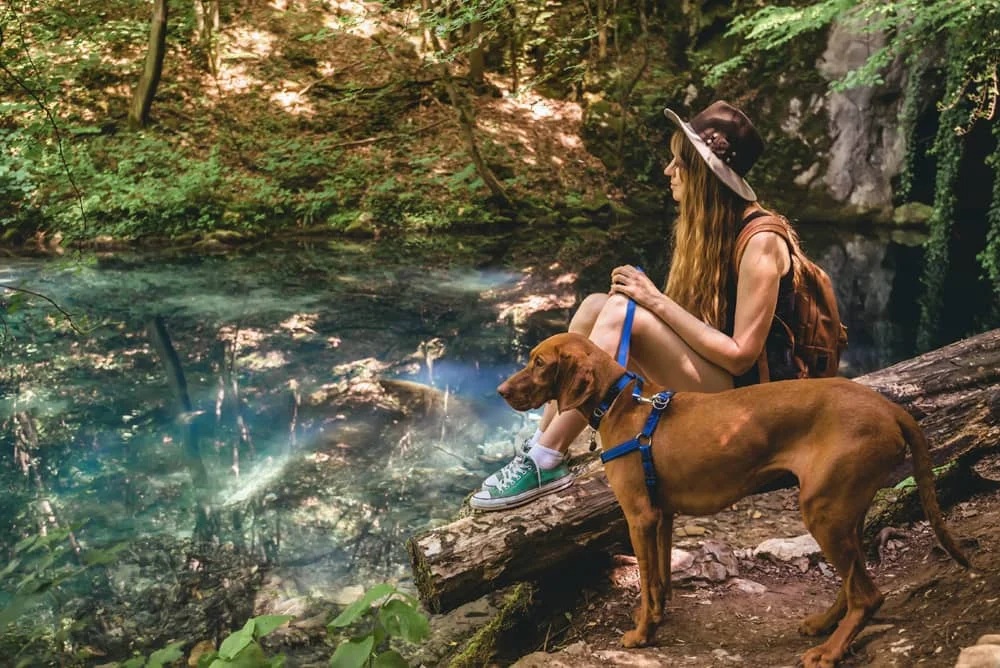 Woman sitting on a log with a backpack and hat beside a brown dog by a serene pond in a lush forest.